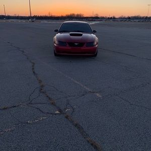 Meet your Posher, Jack